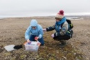 Laboratory staff conducted expeditionary activities in the territory of the national park "Russian Arctic"