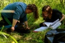 Scientists of the NArFU study the ecological state of terrestrial ecosystems on the territory of the Solovetsky Archipelago