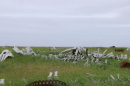 Whale Lower Jaw - Uelkal