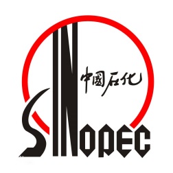 Sinopec Research Institute of Petroleum Engineering (КНР)