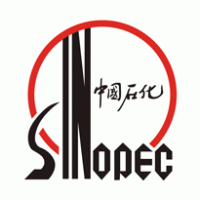 SINOPEC Research Institute of Petroleum Engineering.gif